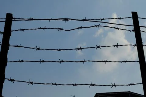 Silhouette of Barbed Wire Background. Stock Photos