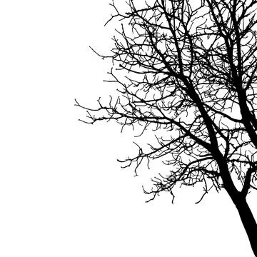 Silhouette of bare branches tree. Vector illustration Stockillustratie