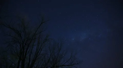 Silhouette of bare tree against star filled night sky Stock Footage 63296380