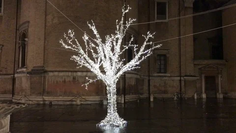 A silhouette of a bare tree illuminated by by many lights in a dark night. Stock-Footage 86132955