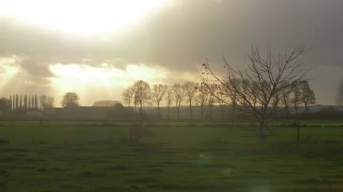 Silhouette of bare tree in winter with a sunset background Video stock 146775393