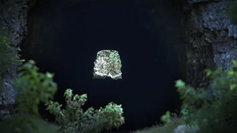Silhouette of Bats inside Underground Tunnel Cave in Dark Forest Video stock 326970410