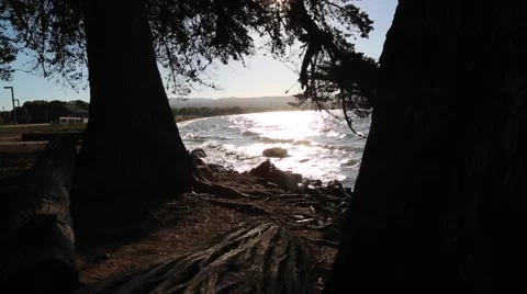 Silhouette Beach Shot Stock Footage