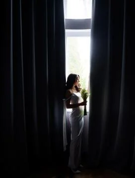 Silhouette of a beautiful bride on the background of the window Stock-Fotos
