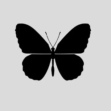 Silhouette of beautiful butterfly logo vector icon Stock Illustration