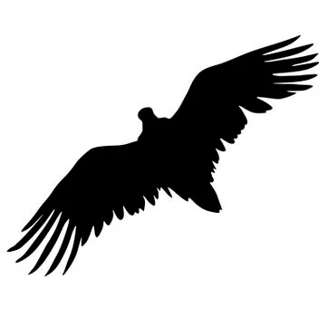 eagle flying outline