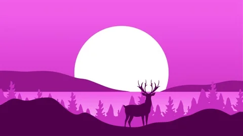 Silhouette of a beautiful forest view Stock Footage 327186708