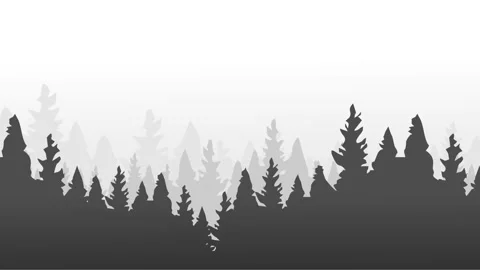 Silhouette of a beautiful forest view Stock Footage 327186712