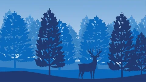 Silhouette of a beautiful forest view Stock Footage 327186725