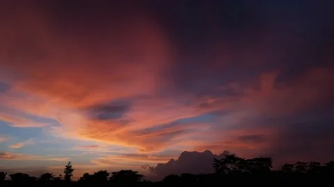 Silhouette Of A Beautiful Tree At Sunset. Vídeos de archivo 168094384