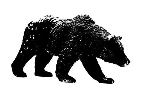Silhouette of big bear model stand isolated on white background Stock Illustration