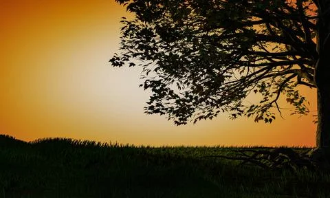 Silhouette of a big tree on the grass. Background in bright orange white tone Stock Illustration
