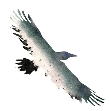Silhouette of a bird of a crow on a forest background. Insulated profile. Wat Stock Illustration