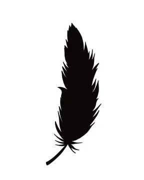 Silhouette of bird feather Stock Illustration