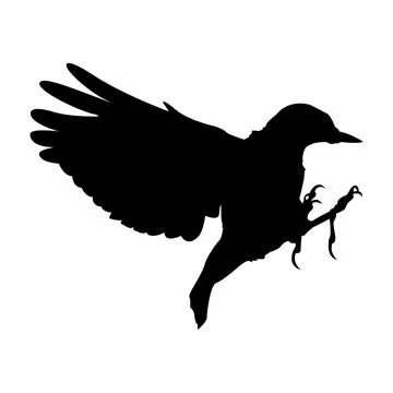 Silhouette of a bird in flight, with wings spread and claws extended Stock Illustration