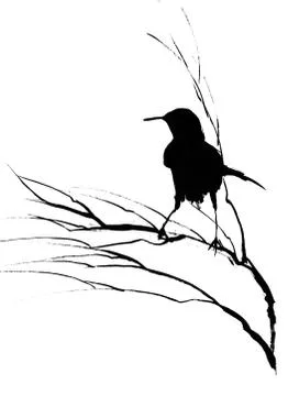 Silhouette of the bird Stock Illustration