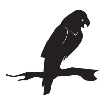 Silhouette of Bird 스톡 일러스트