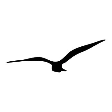 Silhouette of Bird isolate on white background. for web and mobile vector ill Illustrazione stock