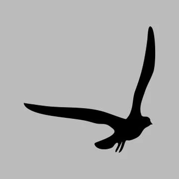 Silhouette of Bird isolate on white background. for web and mobile vector ill Illustrazione stock