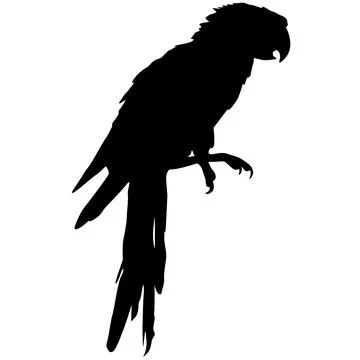 Silhouette bird Macaws on a white background Illustrazione stock