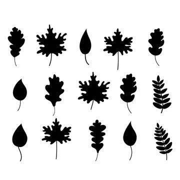 The silhouette of black fallen leaves .vector Stock Illustration