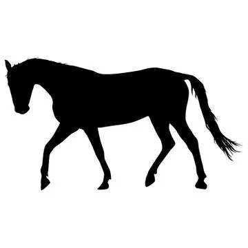 Silhouette of black mustang horse vector illustration Stock Illustration