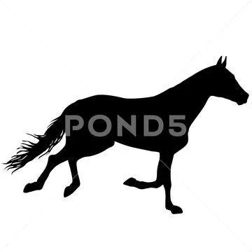 Silhouette of black mustang horse on white background Stock Illustration