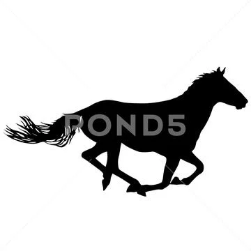 Silhouette of black mustang horse on white background Stock Illustration