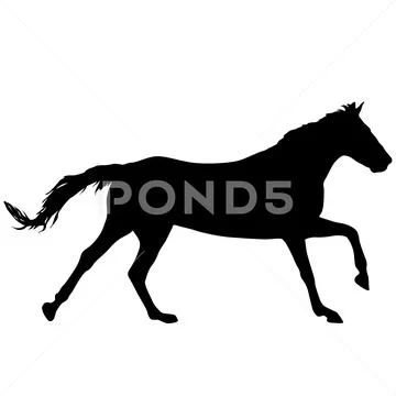 Silhouette of black mustang horse on white background Stock Illustration