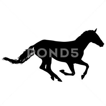Silhouette of black mustang horse on white background Stock Illustration