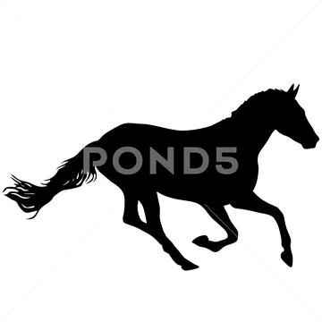Silhouette of black mustang horse on white background Stock Illustration