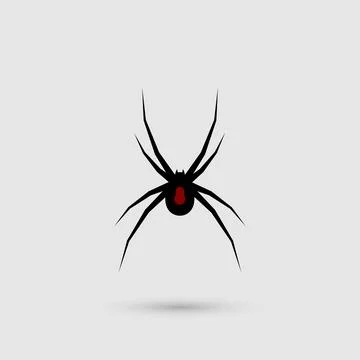 Silhouette of black spider.Spider close-up. Vector spider Stock Illustration