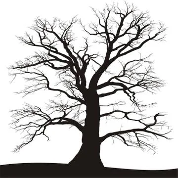 Silhouette of black tree Stock Illustration