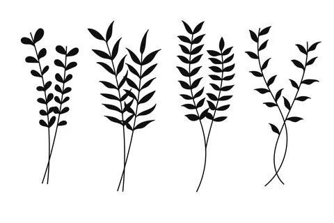 Silhouette Botanical Set.Vector illustration Stock Illustration