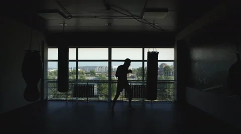 Silhouette of a boxer in the hall Video stock 68028833