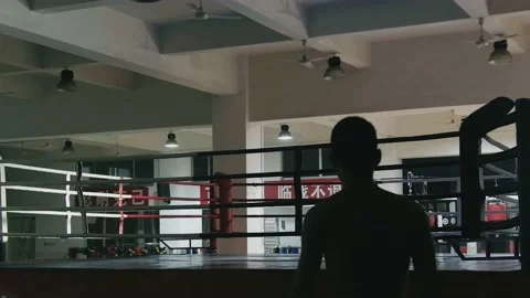 Silhouette Boxer Walking Video stock 219319940