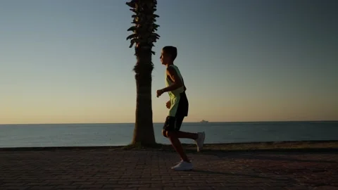 Silhouette of a boy running with a beautiful sunset in the background. Young Vídeos de archivo 210710717