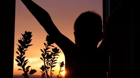 Silhouette of boy stretching and watching sunset or sunrise Stock Footage 339035949