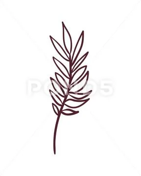 Silhouette of branch with leaves on white background Stock Illustration