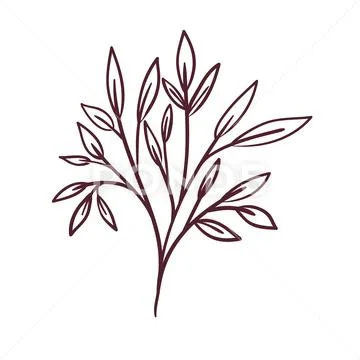 Silhouette of branch with leaves on white background Stock Illustration