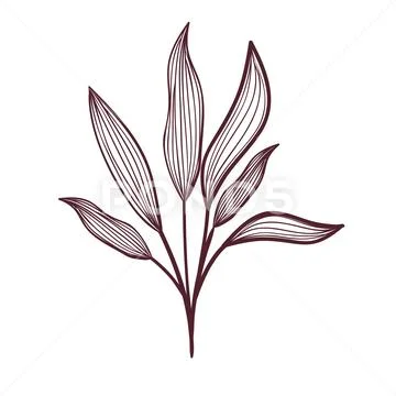 Silhouette of branch with leaves on white background Stock Illustration
