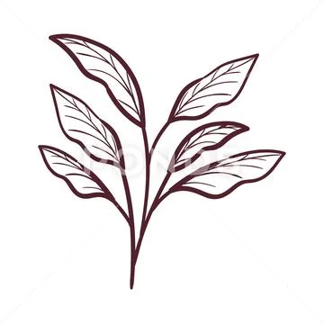 Silhouette of branch with leaves on white background Stock Illustration
