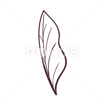 Silhouette of branch with leaves on white background Stock Illustration