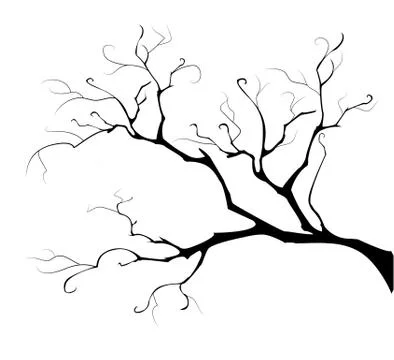 Silhouette of the Branch Tree Stock Illustration