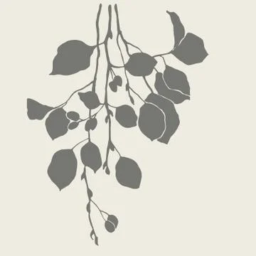 Silhouette of branches of alder Stock Illustration