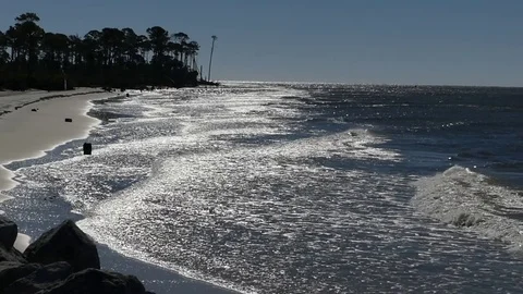 Silhouette of breaking surf, tree line, rocks in foreground Stock Footage 70006553