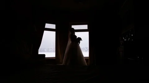 Silhouette of a bride and groom on the background of a window Stock Footage 75385308