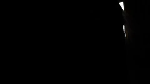 Silhouette bride 스톡 동영상 35273464