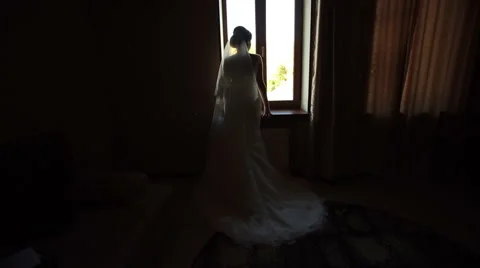 Silhouette of a Bride Stock Footage 53010340