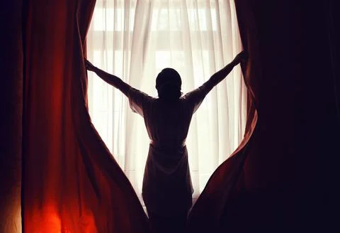 The silhouette of the bride Foto stock